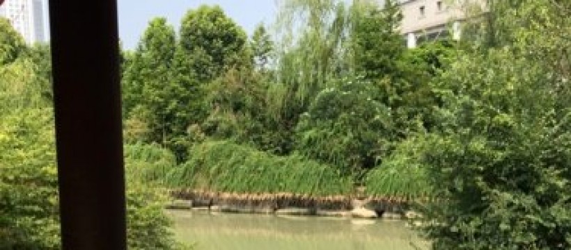 葭沚泾河照片