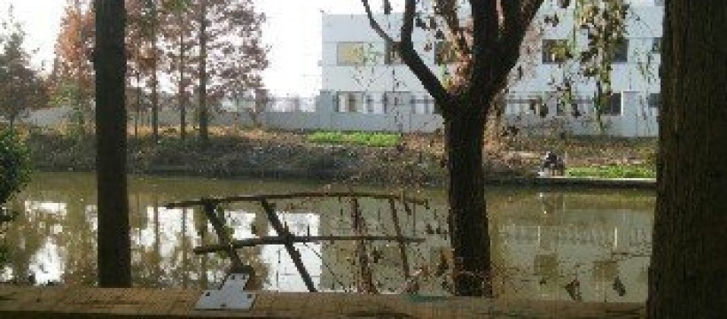 杨家沟河照片
