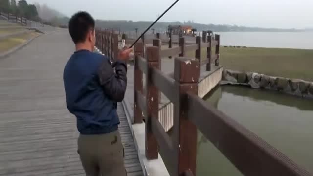 【视频】牛人钓到一条巨型鳡鱼，竟然这么大！太过瘾了_视频封面