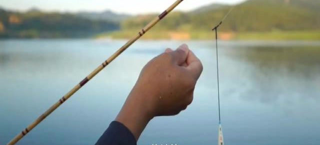 【视频】钓鱼；国产并继竿水库实战，刚柔并济让人着迷的手感_视频封面