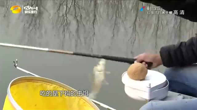 【视频】冬季钓鱼干货冷天鱼不开口“一荤一素”钓法显神威_视频封面