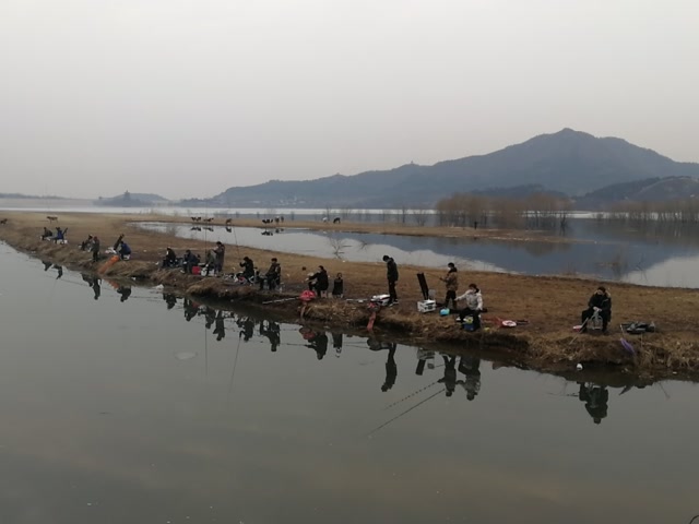 视频钓鱼爱好者钓瘾犯了凌晨出发坐标北京金海湖水库钓鳜鱼