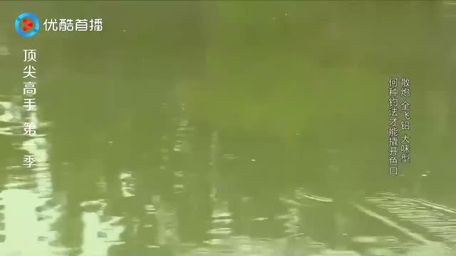 【视频】试钓三十分钟，刘志强加大饵料的千里香味型，连竿中鱼效果很明显_视频封面