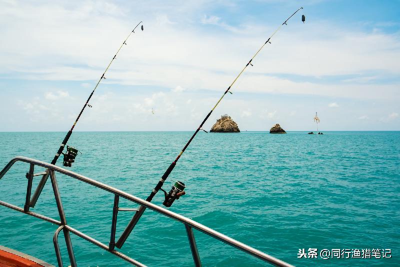 一边领略大海的绚丽一边体会海钓的魅力近海船钓攻略原创同行渔猎笔记