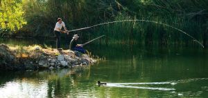 江河钓鱼如何才能选择到最佳钓位方法技巧