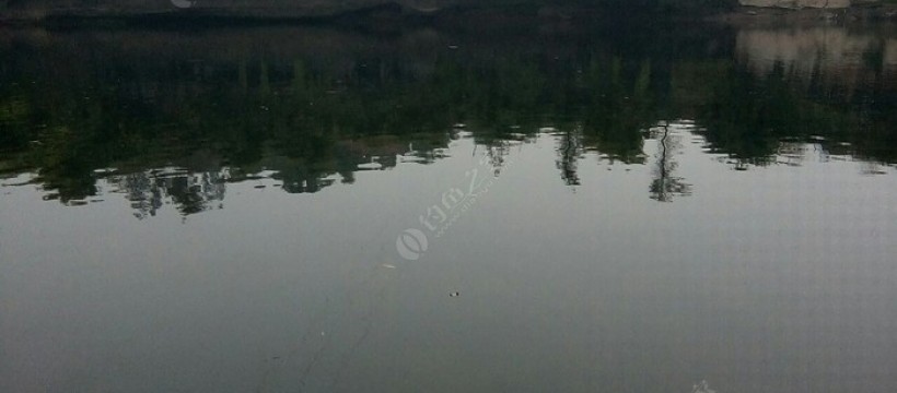 赖溪河照片