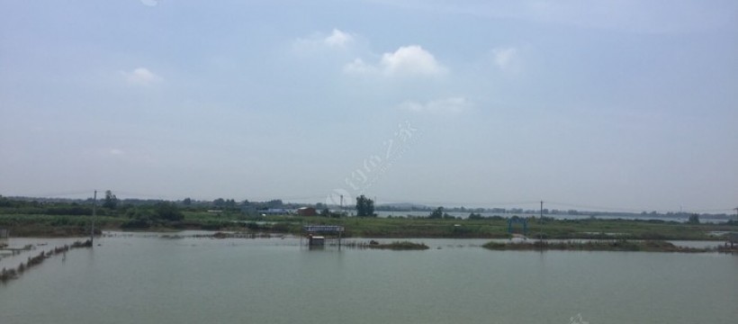 长江东湖河照片