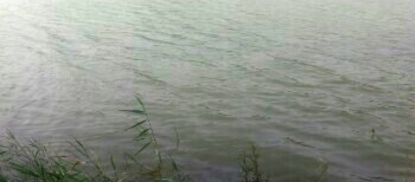 桃花峪沉淀湖照片