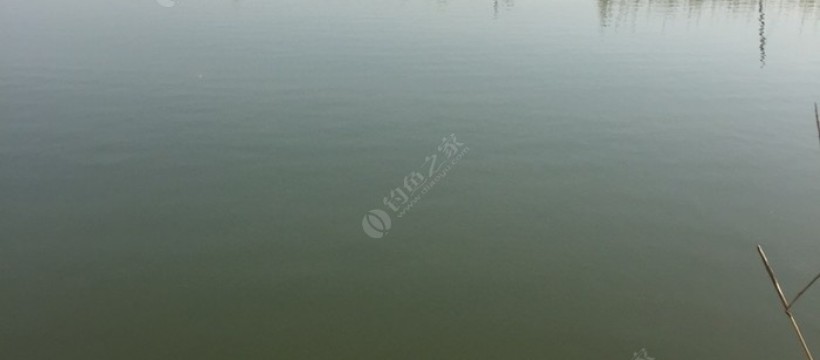 鹊山龙湖休闲垂钓园照片