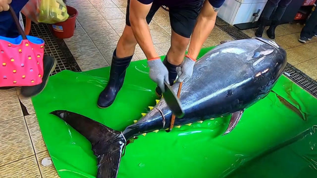 【视频】价值500万的蓝鳍金枪鱼，是如何捕捞到的？看完简直不敢相信_视频封面