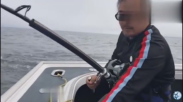 【视频】价值450万的蓝鳍金枪鱼被中国钓鱼爱好者狂拉出水，瞬间变百万富翁_视频封面