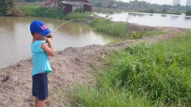 【视频】钓鱼：小孩在鱼塘里玩路亚，钓红鲳鱼_视频封面