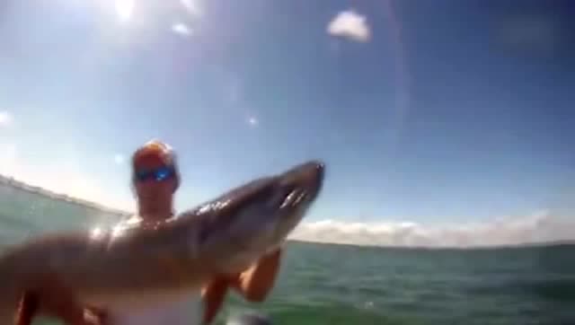 【视频】海边钓鱼，钓到了奇怪的生物_视频封面
